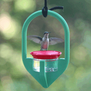 Hummingbird feeder with hanging cradle